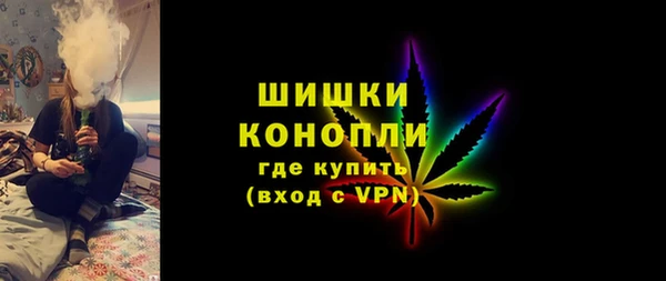 ECSTASY Богданович